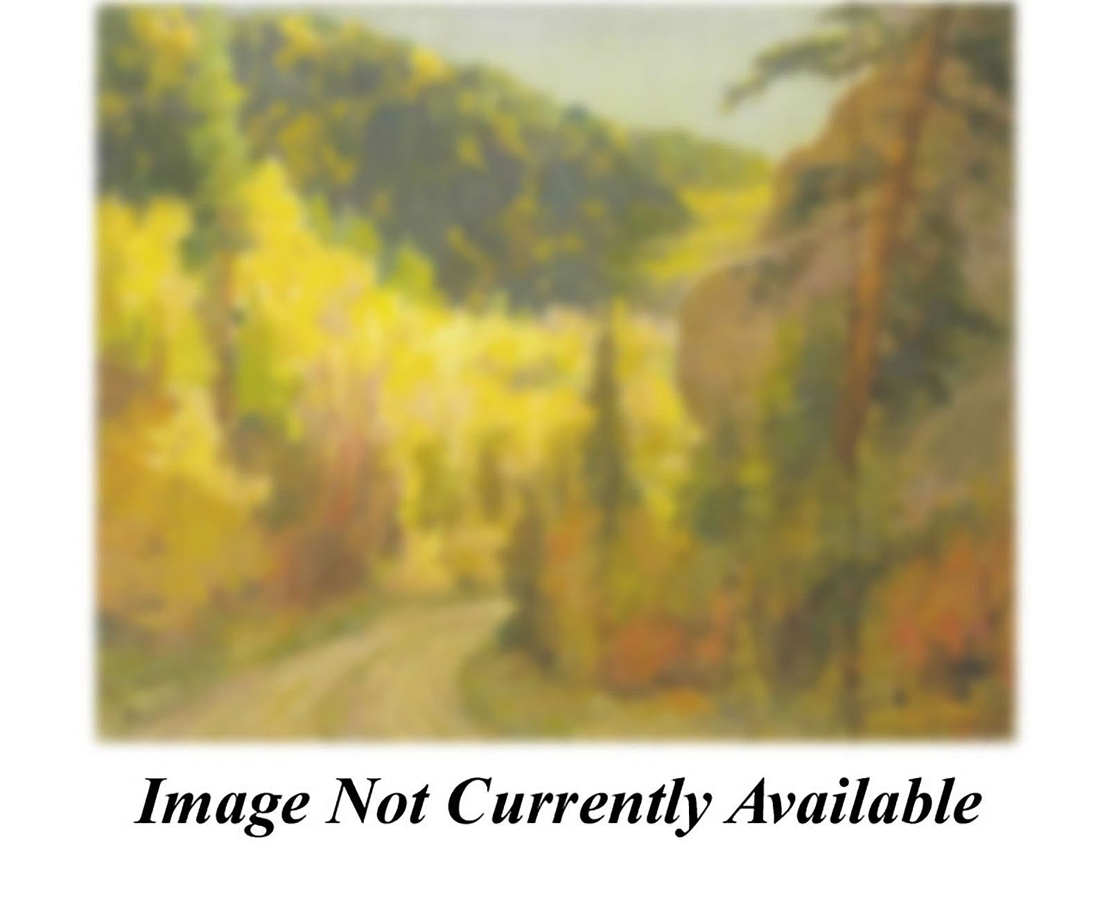 Aspens - Hondo Canyon; [Aspens, Hondo Road from Twining]